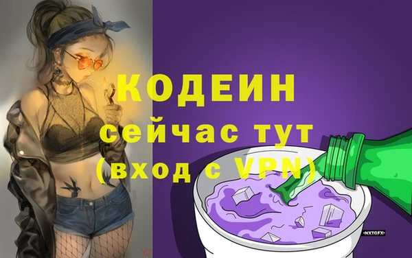герыч Туринск