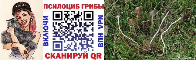 Галлюциногенные грибы мицелий  гидра как войти  Кочубеевское 